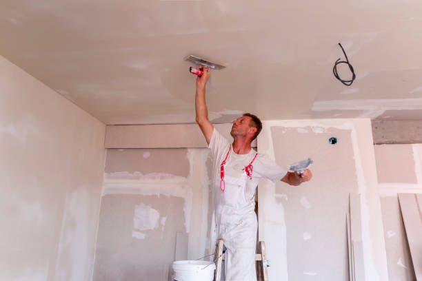 Best Eco-Friendly and Low-VOC Painting  in Phoenix, NY